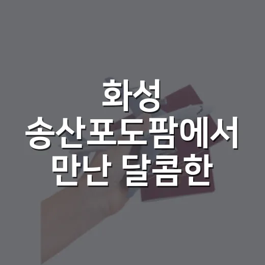 화성 송산포도팜에서 만난 달콤한 주말