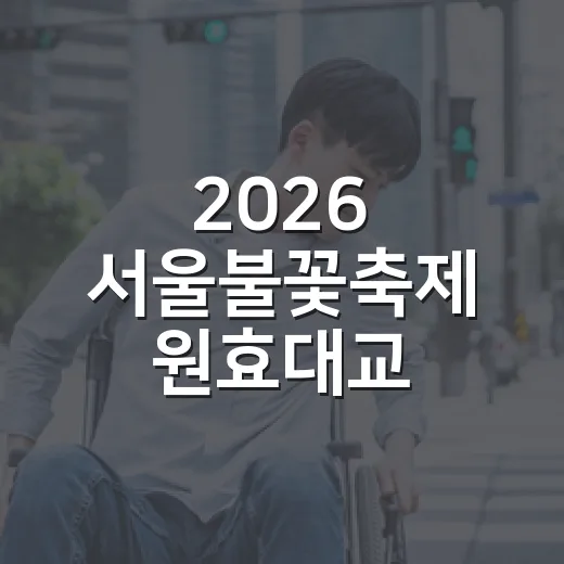 2026 서울불꽃축제 원효대교 교통통제 상세 안내