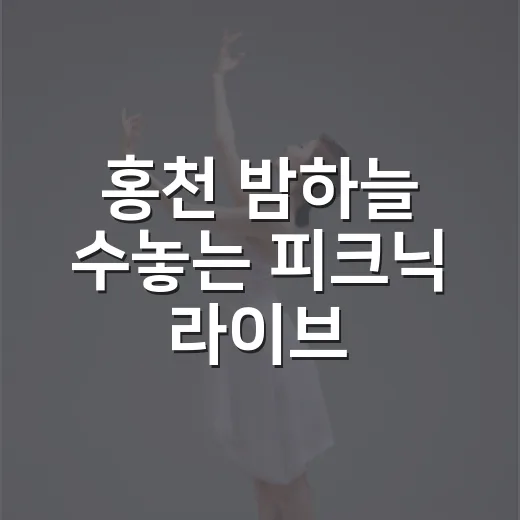 홍천 밤하늘 수놓는 피크닉 라이브