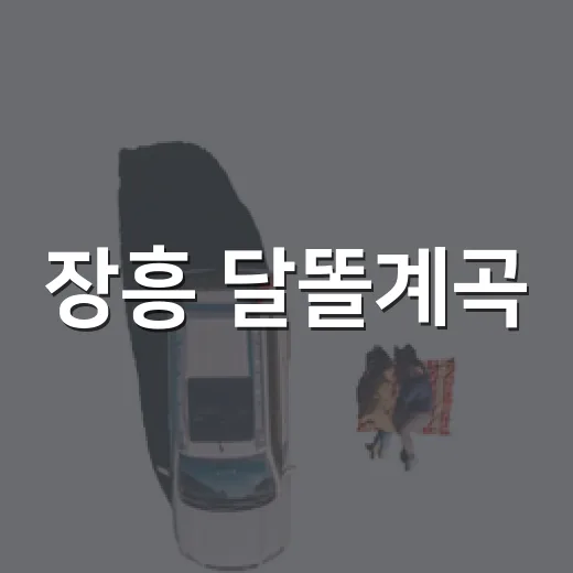 장흥 달똘계곡, 반려견과 즐기는 물놀이 명소