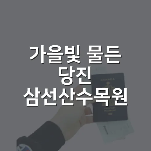 가을빛 물든 당진 삼선산수목원 산책기