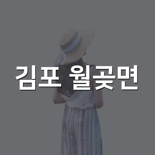 김포 월곶면, 쌀 창고와 대피소가 예술 공간으로