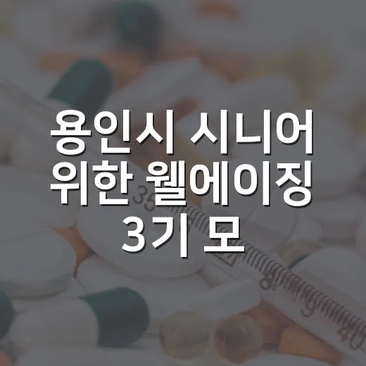 용인시 시니어 위한 웰에이징 3기 모집