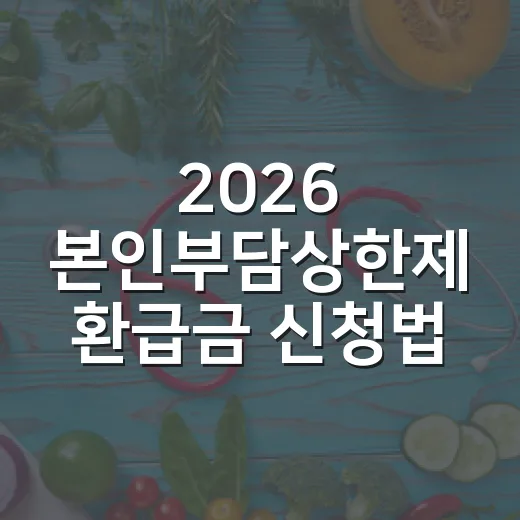 2026 본인부담상한제 환급금 신청법 총정리