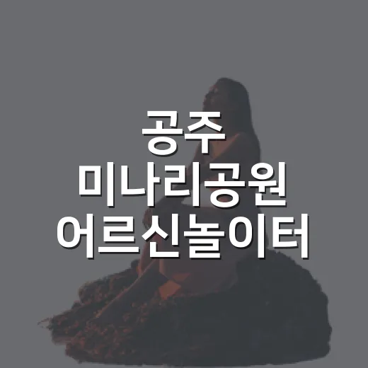 공주 미나리공원 어르신놀이터 무료 족욕장 인기
