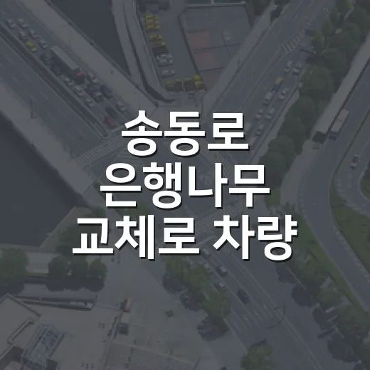 송동로 은행나무 교체로 차량 우회 필수