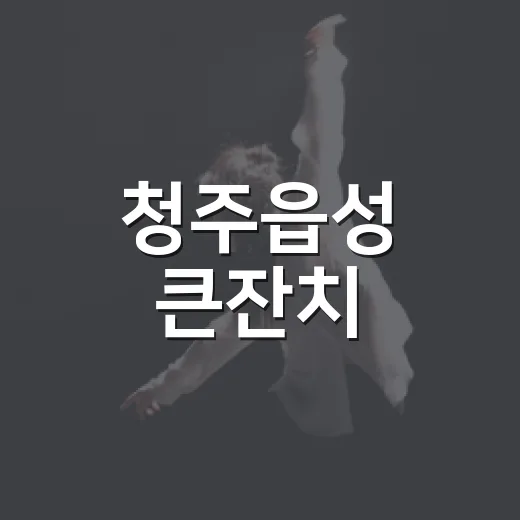 청주읍성 큰잔치, 역사와 문화의 축제