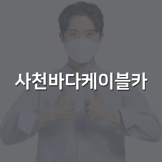 사천바다케이블카, 안전 위해 긴급 휴장