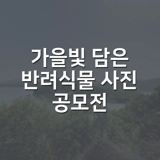 가을빛 담은 반려식물 사진 공모전