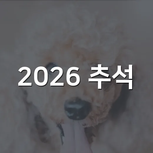 2026 추석, 서대문 반려견 돌봄쉼터 운영