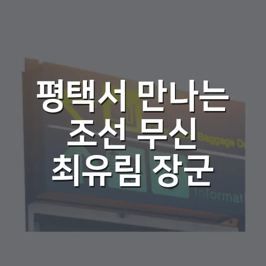 평택서 만나는 조선 무신 최유림 장군