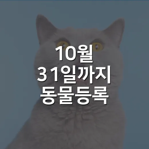 10월 31일까지 동물등록 자진신고하세요