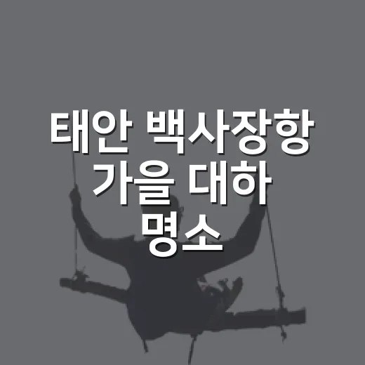 태안 백사장항 가을 대하 명소