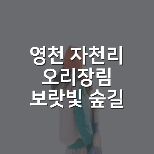 영천 자천리 오리장림 보랏빛 숲길 산책