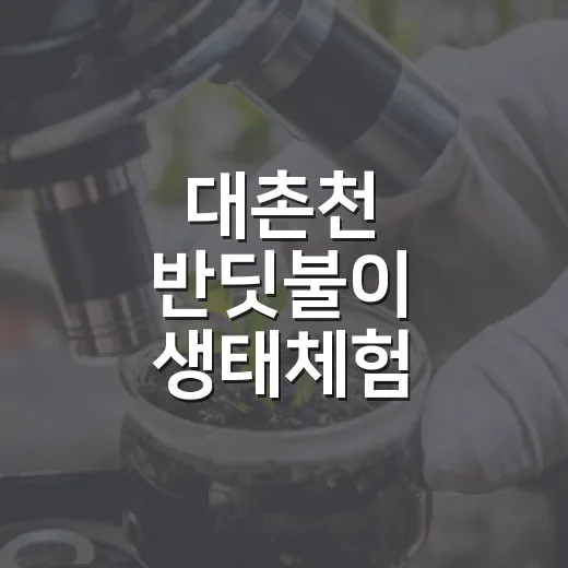 대촌천 반딧불이 생태체험 참가자 모집