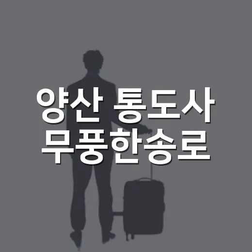 양산 통도사 무풍한송로, 부모님과 걷기 좋은 여름 소나무 숲길