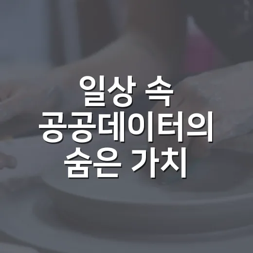 일상 속 공공데이터의 숨은 가치