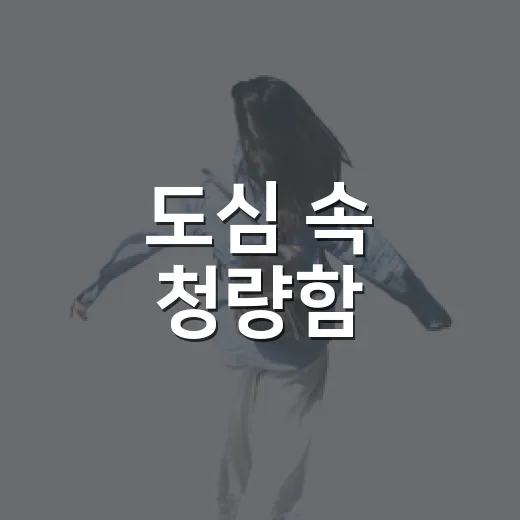 도심 속 청량함, 의정부 안골계곡 산책