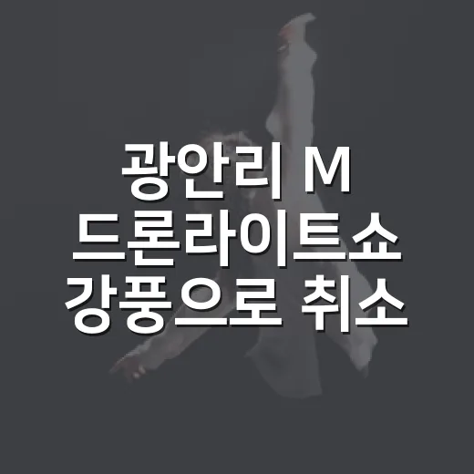 광안리 M 드론라이트쇼 강풍으로 취소