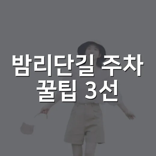 밤리단길 주차 꿀팁 3선