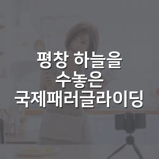 평창 하늘을 수놓은 국제패러글라이딩 축제