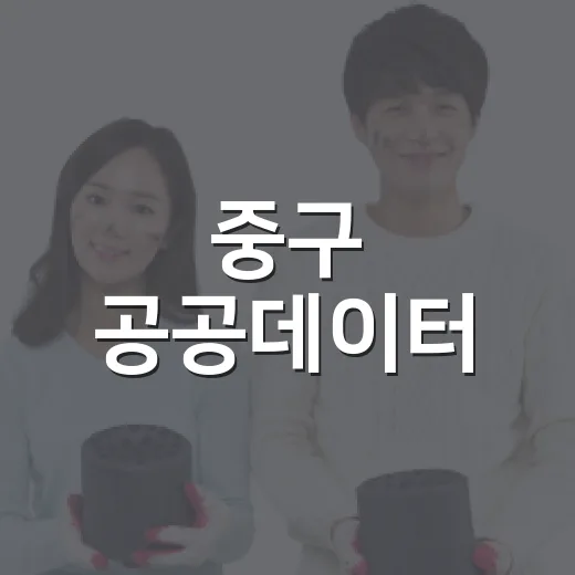 중구 공공데이터, 개방과 활용의 미래