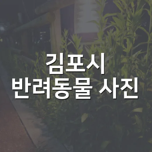 김포시 반려동물 사진·영상 콘테스트 개최