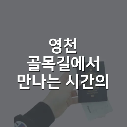 영천 골목길에서 만나는 시간의 흐름