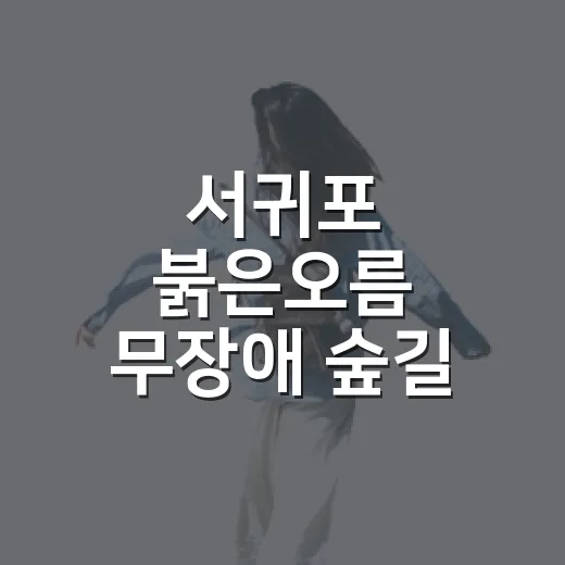 서귀포 붉은오름 무장애 숲길 산책