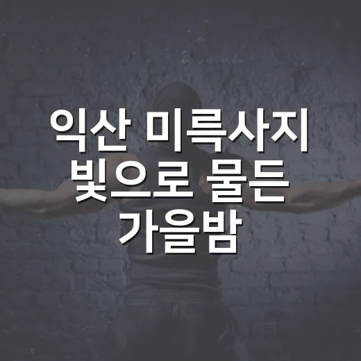 익산 미륵사지 빛으로 물든 가을밤