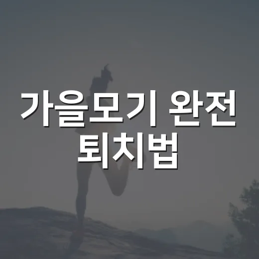 가을모기 완전 퇴치법