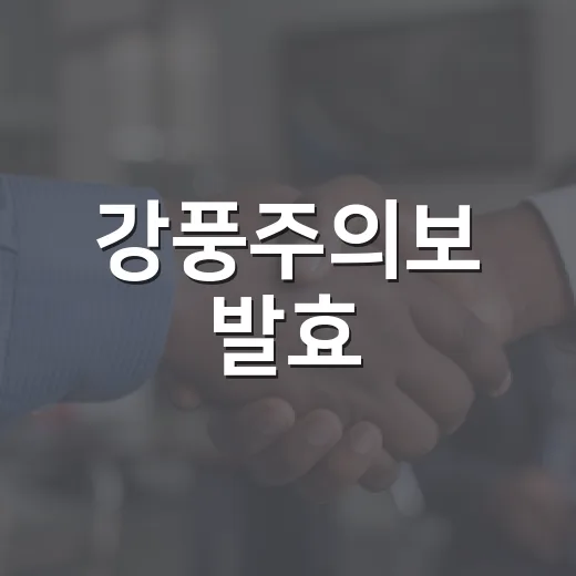 강풍주의보 발효, 안전 행동 수칙