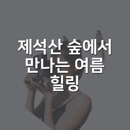 제석산 숲에서 만나는 여름 힐링
