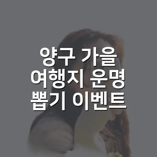 양구 가을 여행지 운명 뽑기 이벤트