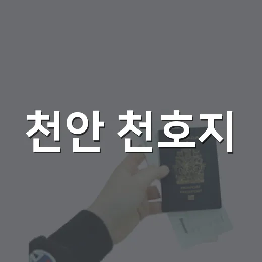 천안 천호지, 밤을 빛내는 미디어파사드 명소