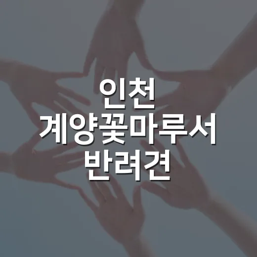 인천 계양꽃마루서 반려견 비문등록 현장 체험