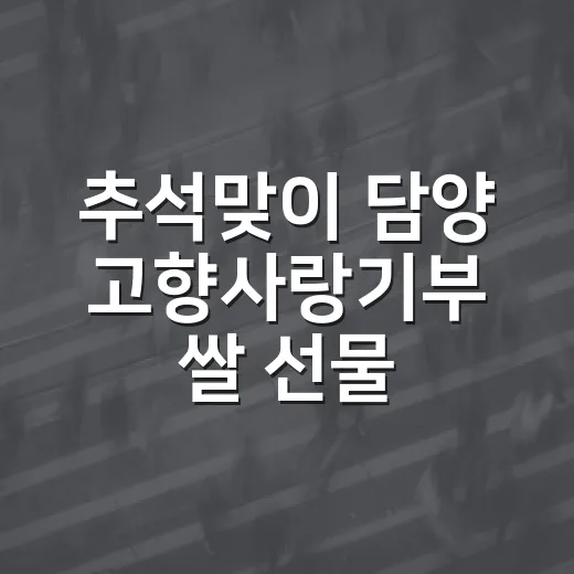 추석맞이 담양 고향사랑기부 쌀 선물 이벤트