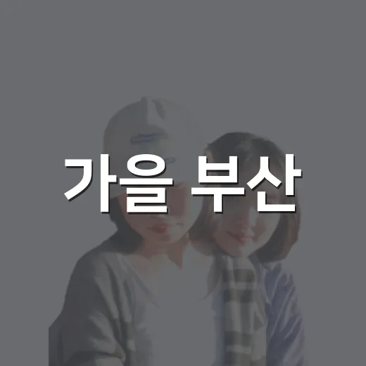 가을 부산, 축제 속 부기 찾기 이벤트