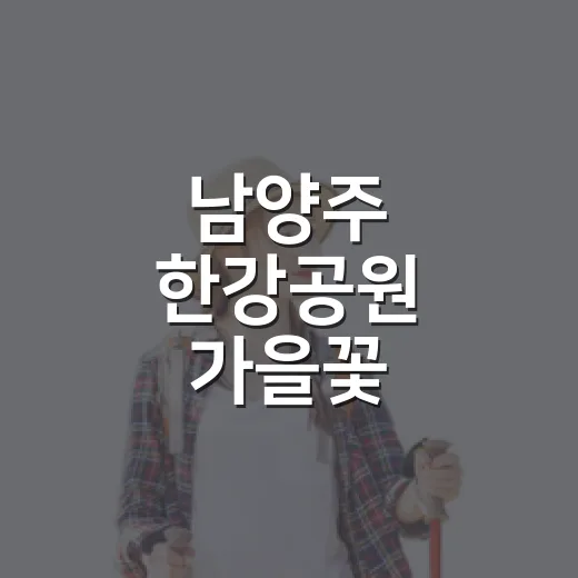 남양주 한강공원 가을꽃 황화코스모스 만개