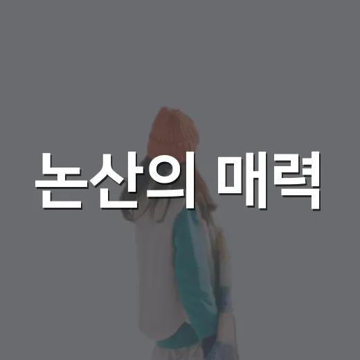 논산의 매력, SNS 서포터즈와 함께하다