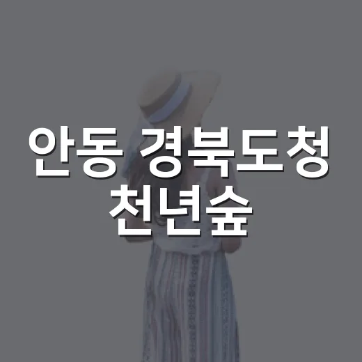 안동 경북도청 천년숲, 한여름 밤 산책 명소
