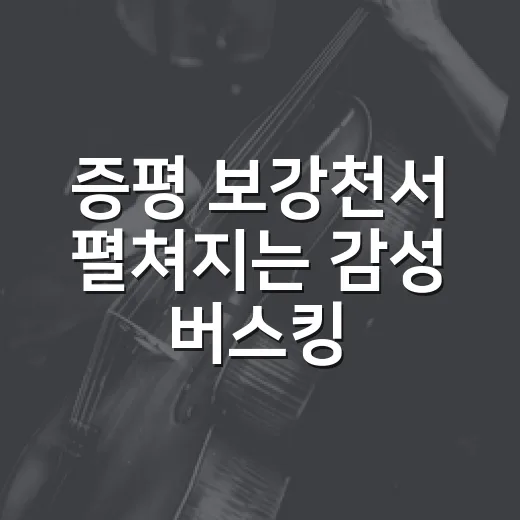 증평 보강천서 펼쳐지는 감성 버스킹