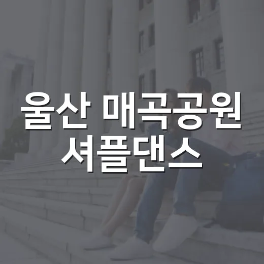 울산 매곡공원 셔플댄스, 금요일 밤의 건강한 만남