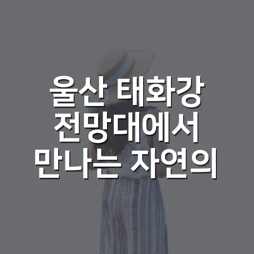 울산 태화강 전망대에서 만나는 자연의 품격