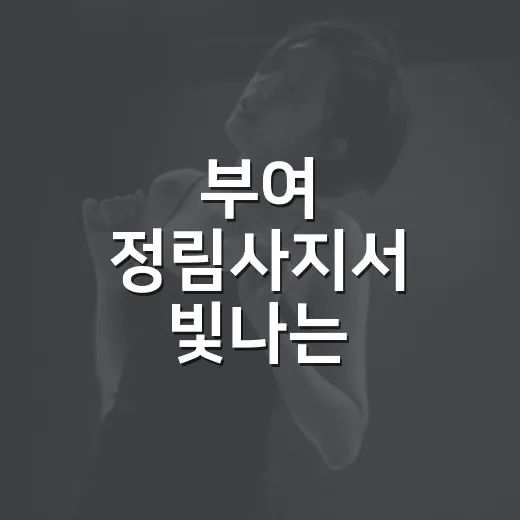 부여 정림사지서 빛나는 2026 국가유산 미디어아트
