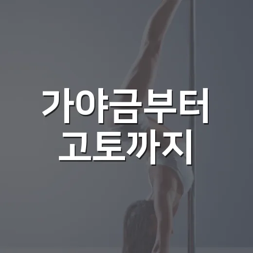가야금부터 고토까지, 산조의 향연