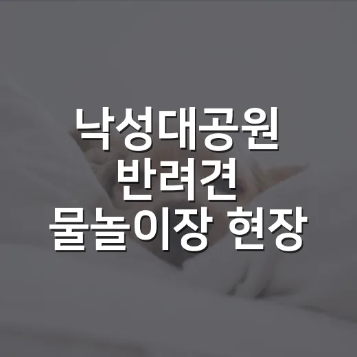낙성대공원 반려견 물놀이장 현장 취재
