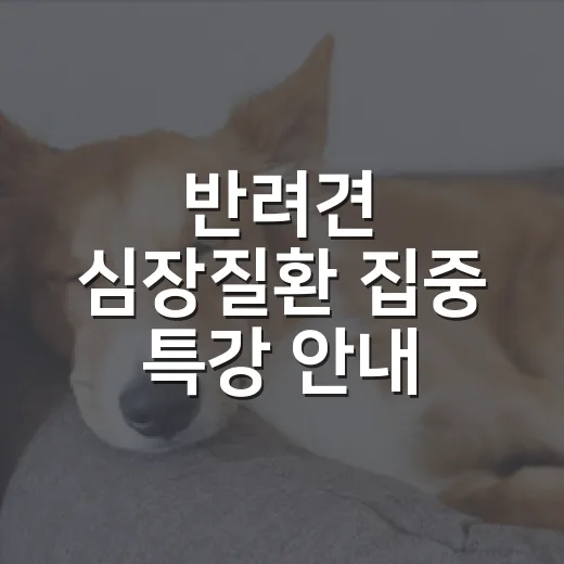 반려견 심장질환 집중 특강 안내