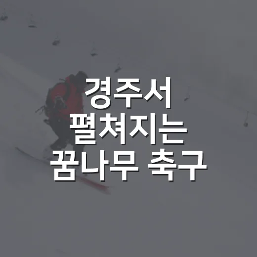 경주서 펼쳐지는 꿈나무 축구 축제