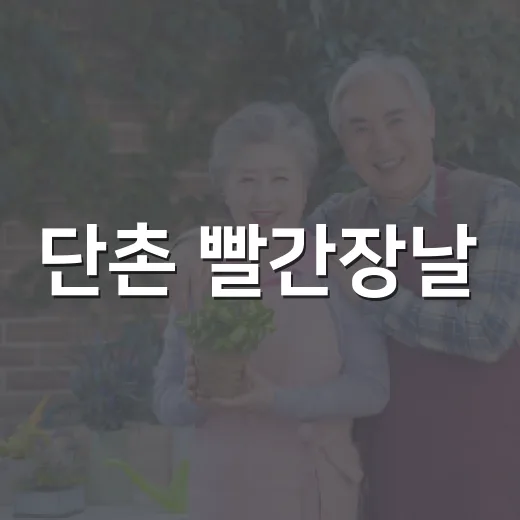 단촌 빨간장날, 가을밤 활기 가득
